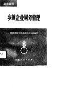 乡镇企业财务管理