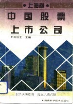 中国股票上市公司 上海卷