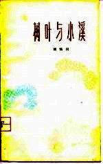 树叶与小溪