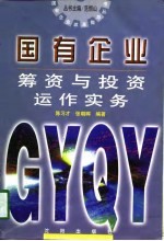 国有企业筹资与投资运作实务
