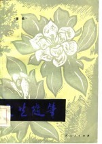 文艺随笔