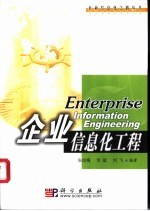 企业信息化工程