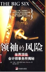 领袖的风险 世界顶级会计师事务所揭秘
