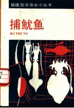 捕鱿鱼