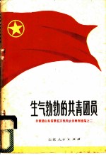 生气勃勃的共青团员