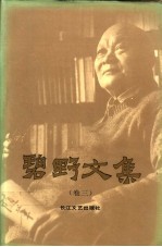 碧野文集 3