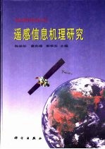 遥感信息机理研究