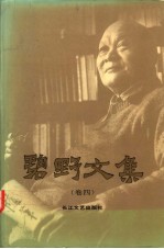 碧野文集 4
