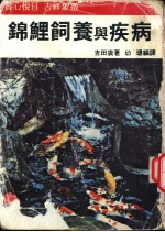 锦鲤饲养与疾病