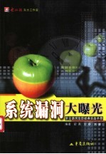 系统漏洞大曝光 常见漏洞攻防经典实战手册