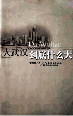 大武汉到底什么大?