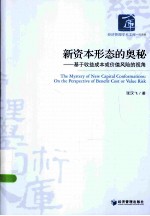 新资本形态的奥秘 基于收益成本或价值风险的视角