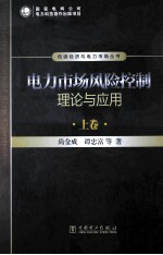 电力市场风险控制理论与应用 上