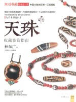 天珠收藏鉴赏指南