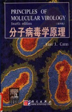 分子病毒学原理