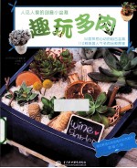 趣玩多肉 人见人爱的多肉小盆栽