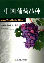 中国葡萄品种