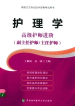 高级卫生专业技术资格考试用书 护理学 高级护师进阶 副主任护师/主任护师