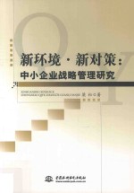 新环境 新对策 中小企业战略管理研究