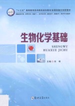 生物化学基础