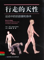 行走的天性 运动中的肌筋膜和身体