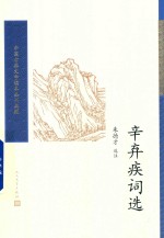 辛弃疾词选