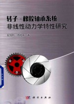 转子 橡胶轴承系统非线性动力学特性研究