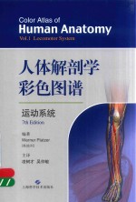 人体解剖学彩色图谱 运动系统