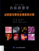罗塞阿克曼外科病理学 泌尿道与男性生殖系统分册 第10版