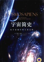 宇宙简史 从宇宙诞生到人类文明