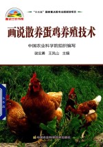 画说散养蛋鸡养殖技术