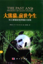 大熊猫的前世今生 长江都督史前熊猫大发现