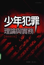 少年犯罪 理论与实务