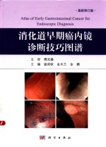 消化道早期癌内镜诊断技巧图谱 修订版