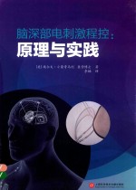 脑深部电刺激程控 原理与实践
