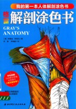 格雷解剖涂色书 我的第一本人体解剖涂色书