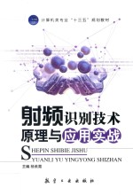 射频识别技术原理与应用实战 双色