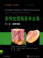 奈特绘图版医学全集 第4卷 皮肤系统 奈特“医学与艺术”“理论与临床”“专业与科普”人体结构和机体功能书 原书第2版