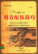 用方配伍技巧 第2版