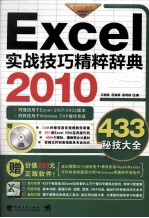 Excel 2010实战技巧精粹辞典 超值双色版