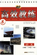高效教练 语文 人教版 八年级 下