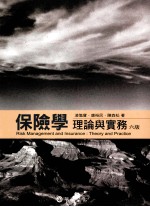 保险学 理论与实务