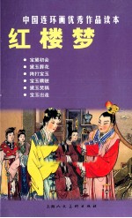中国连环画优秀作品读本 红楼梦