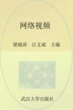网络视频
