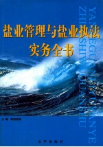 盐业管理与盐业执法实务全书 第2卷