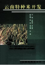 云南特种米开发
