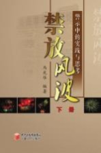 禁放风波 警示中的实践与思考 下