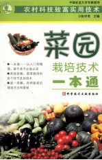菜园栽培技术一本通