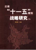 云南“十一五”规划战略研究 下