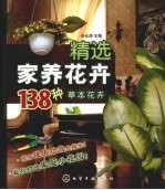 精选家养花卉138种 草本花卉
